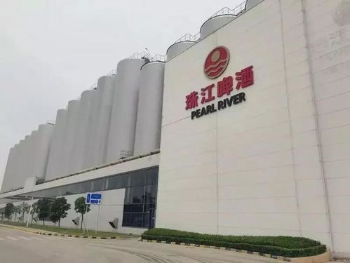 南沙崛起 廣州下一個琶醍，商務信息咨詢新機遇